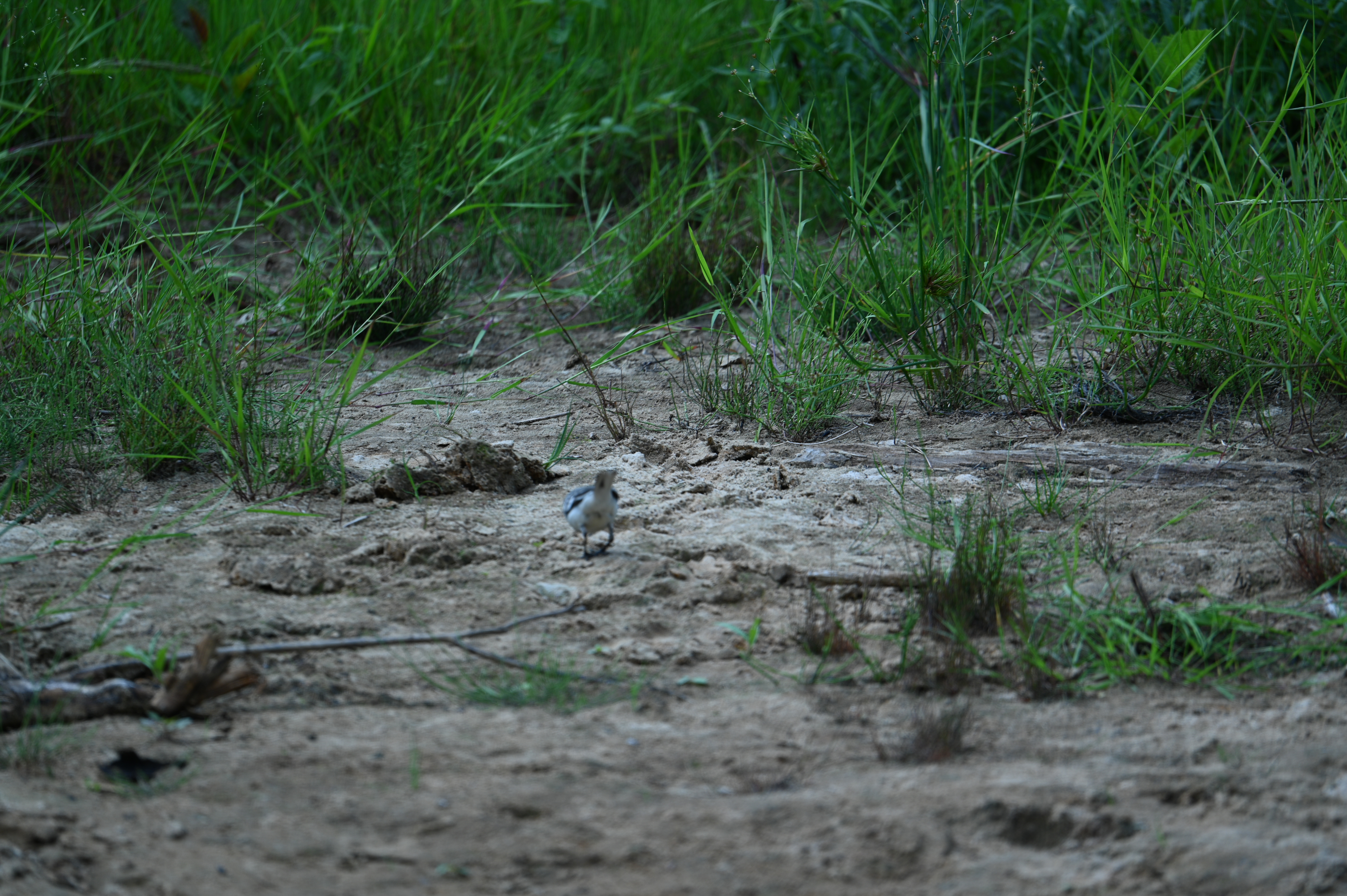 2025/07/09-14 - trip/DSC_0357.JPG